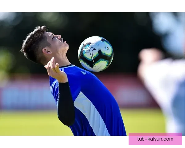 巴拉圭队关键球员